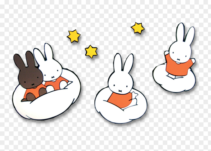 Ava Outline Miffy Nijntje Kleerhangers About Us European Rabbit Book PNG