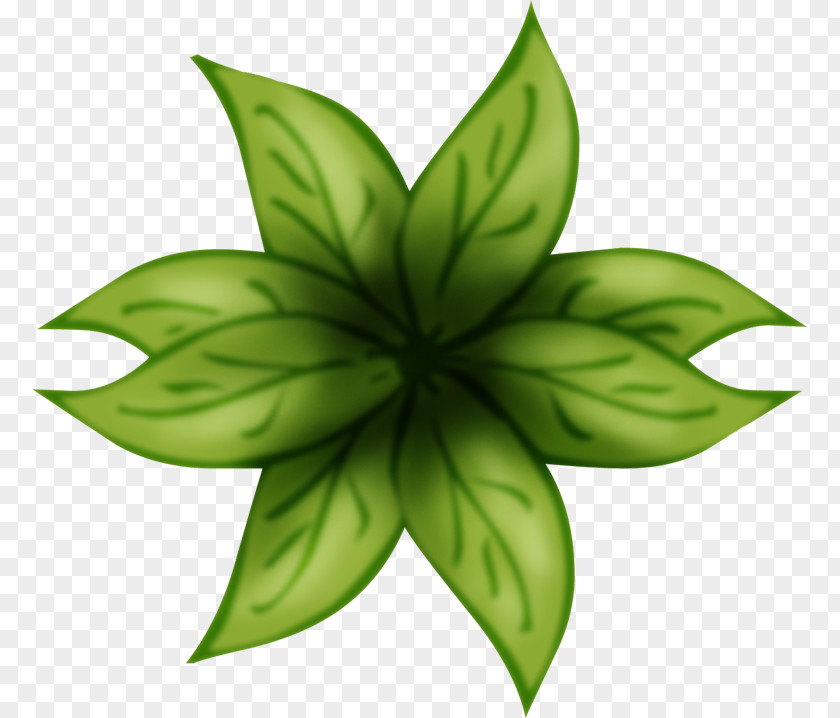 Leaf Green Plant Stem Flower PNG