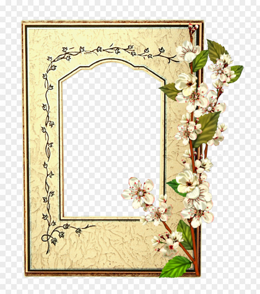 Mirror Picture Frames Flower Photography Floral Design First Communion PNG