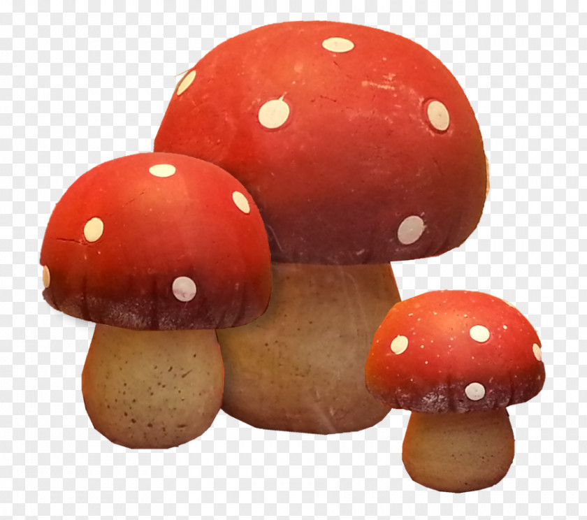 Mushroom Clipart Edible PNG