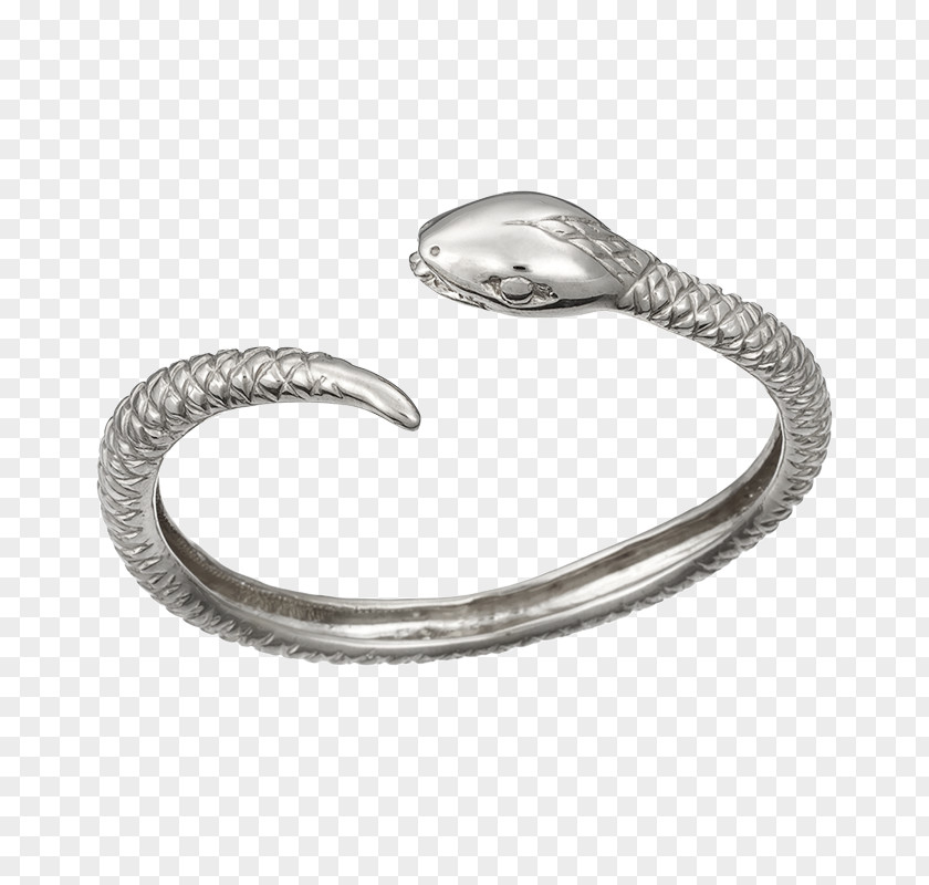 Ouroboros Silver Rings Jewellery Ring Bracelet Bangle PNG