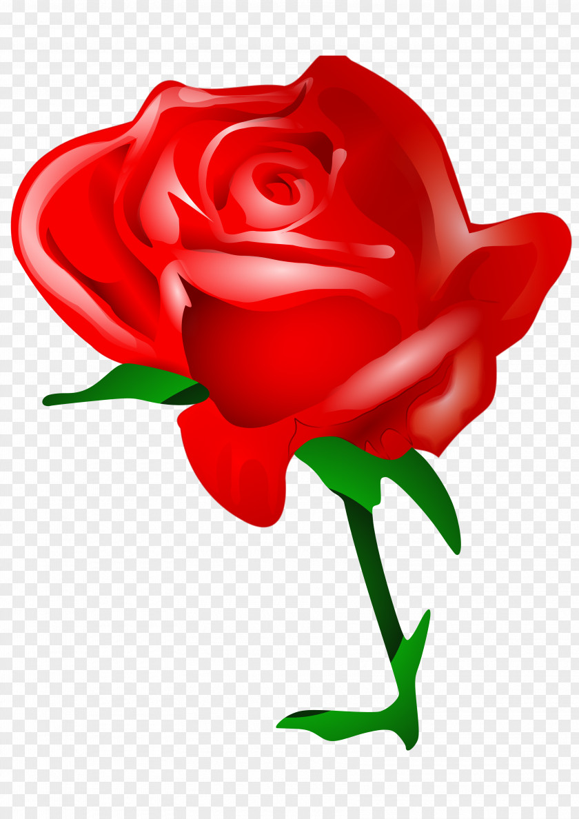 Rose Flower Love Clip Art PNG