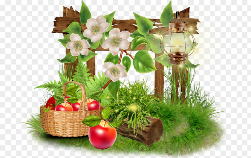 Design Floral Flowerpot Flowering Plant PNG