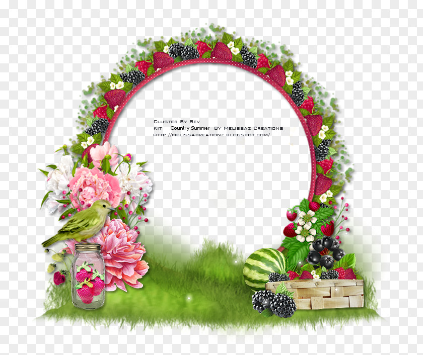 Design Floral Picture Frames Flowering Plant Pink M PNG