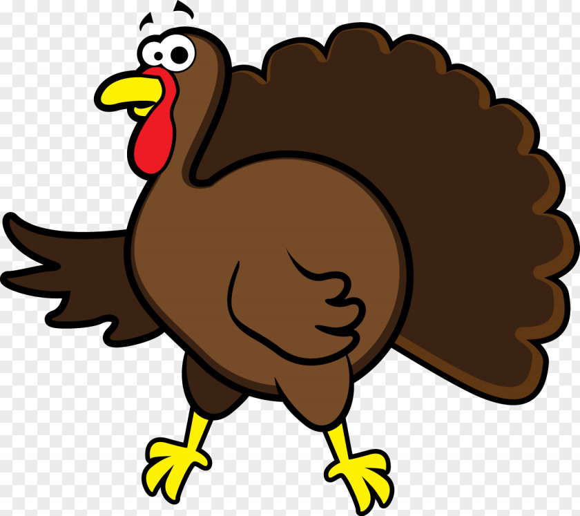 Flightless Bird Chicken Thanksgiving Turkey Drawing PNG