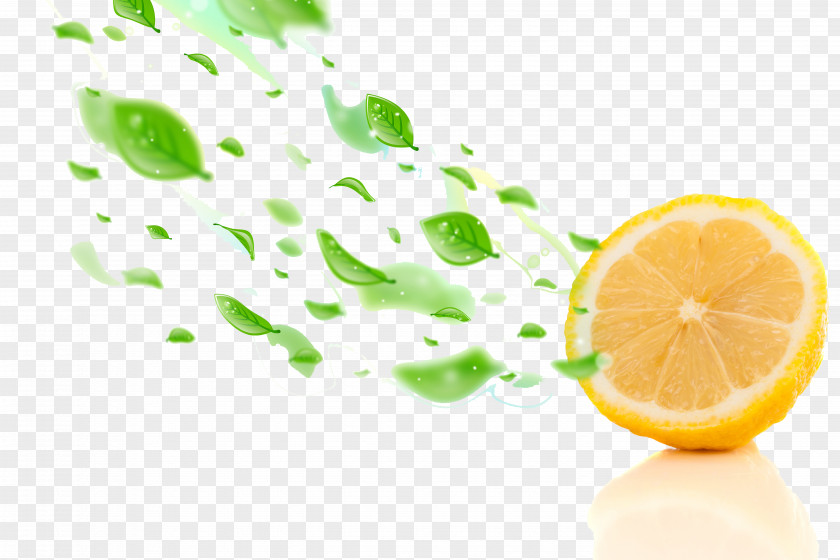 Orange Fruit Vitamin Lemon Auglis Food PNG