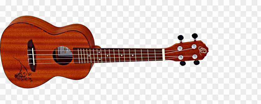 Amancio Ortega Ukulele Cort Guitars Musical Instruments Acoustic Guitar PNG