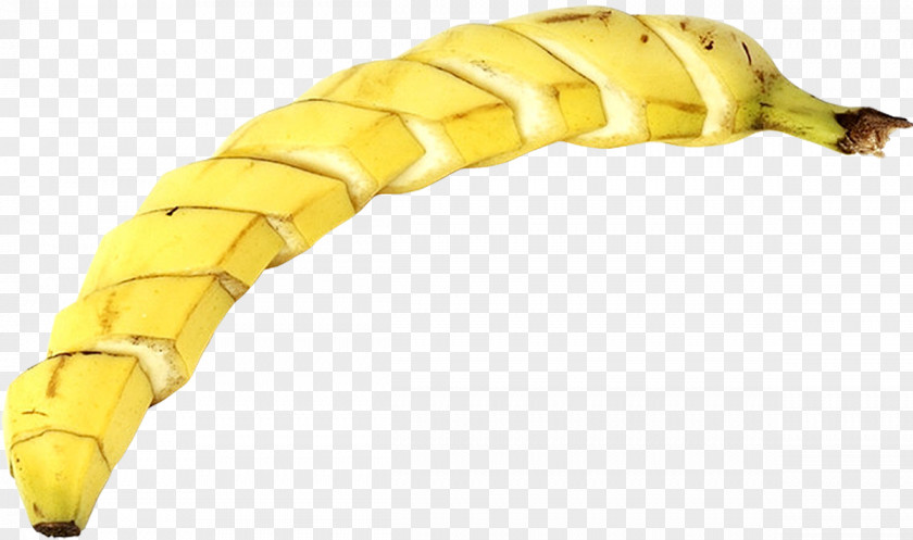 Banana Insect Larva Invertebrate PNG
