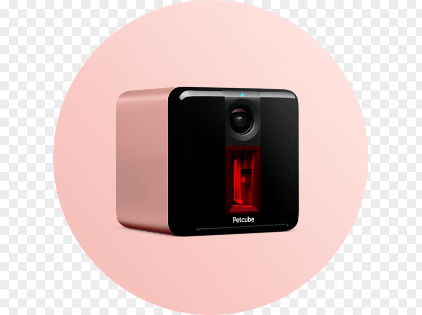 Camera Petcube Play Smart Wi-Fi PNG