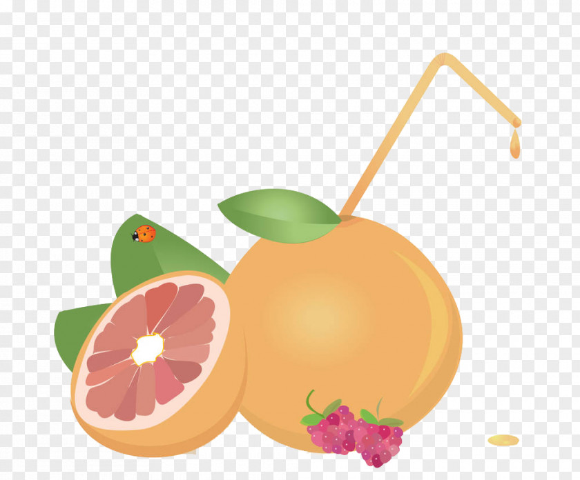 Cartoon Lemon Juice Grapefruit Euclidean Vector PNG