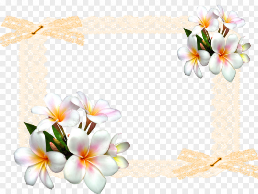 Flower Floral Design White Clip Art PNG