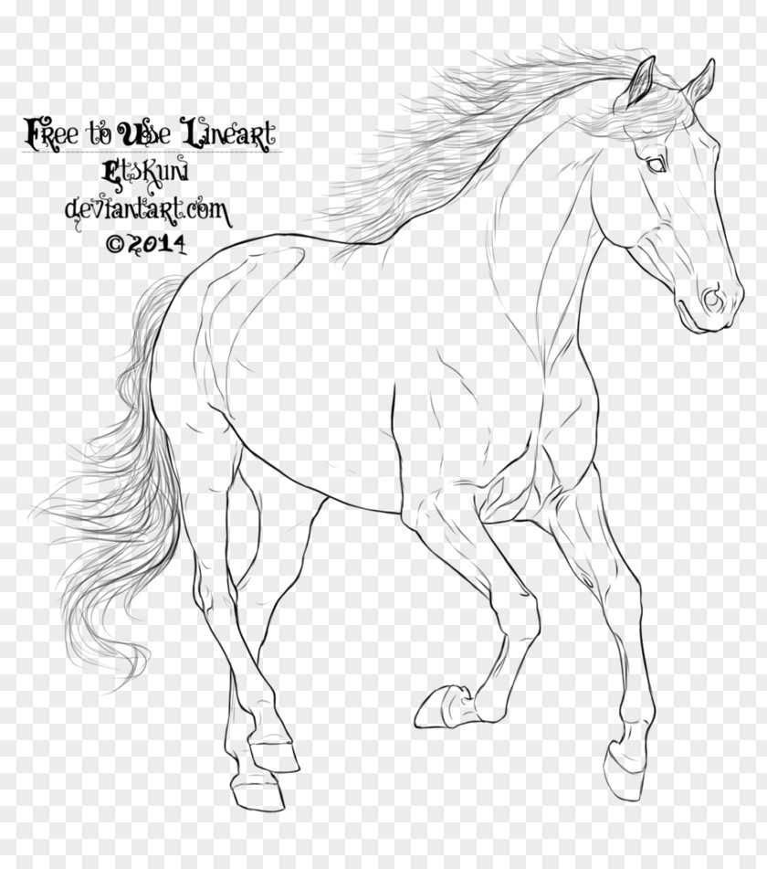 Galloping Horse Arabian Mustang Line Art Pony Drawing PNG