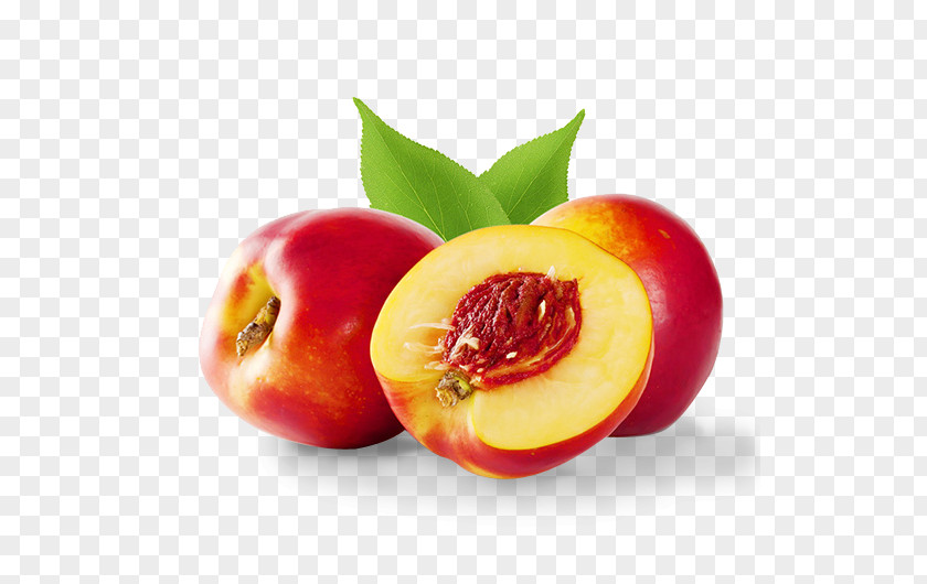 Nectarine Juice Fruit Apricot Saturn Peach PNG