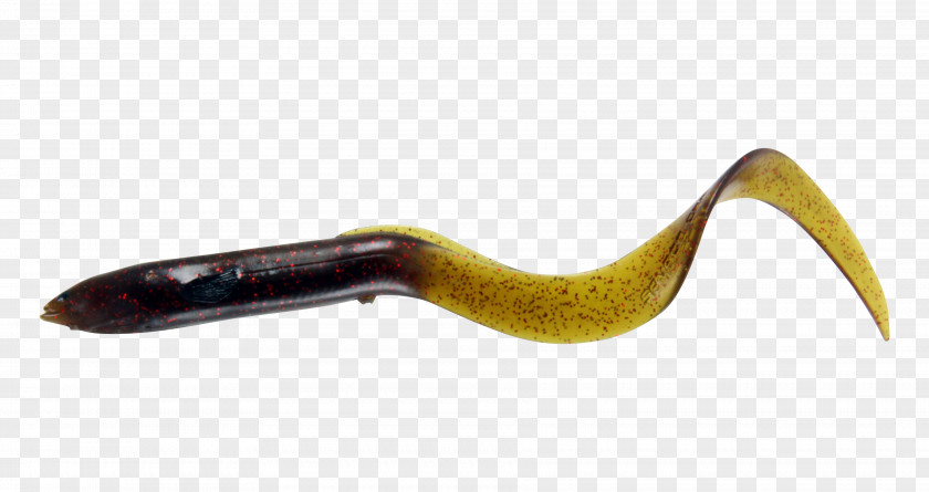 Eel Reptile Fishing Baits & Lures Angling Human Body PNG