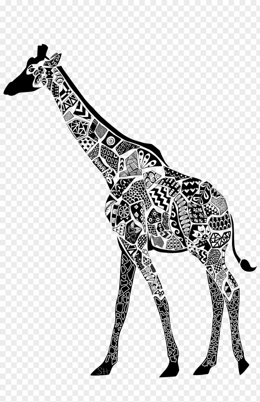 Giraffe Northern Animal Mammal Black And White PNG