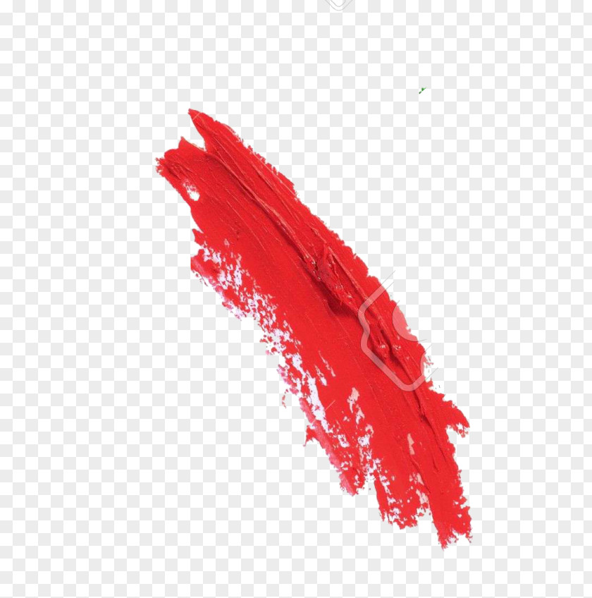 Paint Brush K-pop User Color PNG