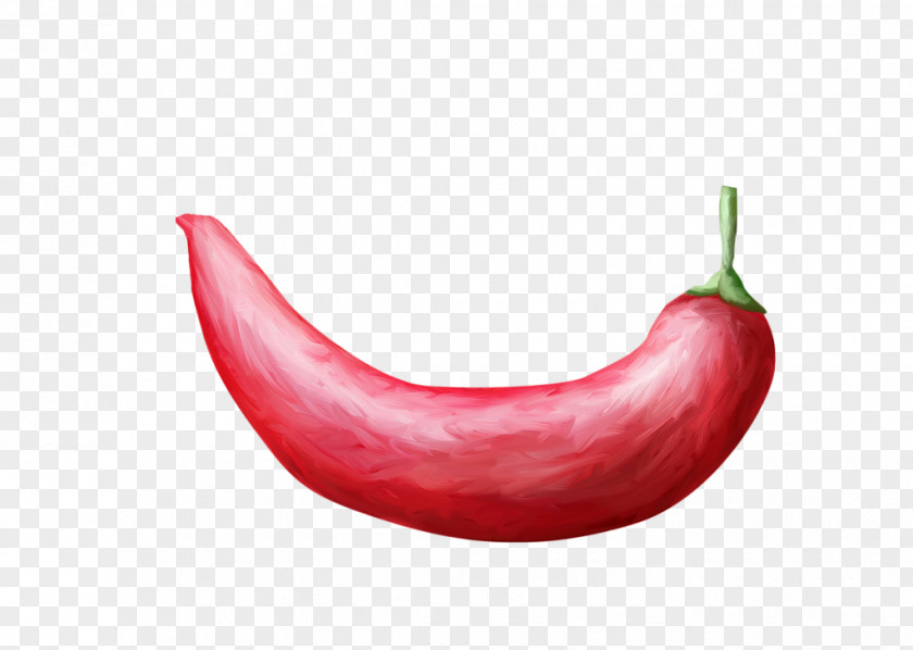 Red Pepper Chili Cayenne Bell Vegetable Fruit PNG