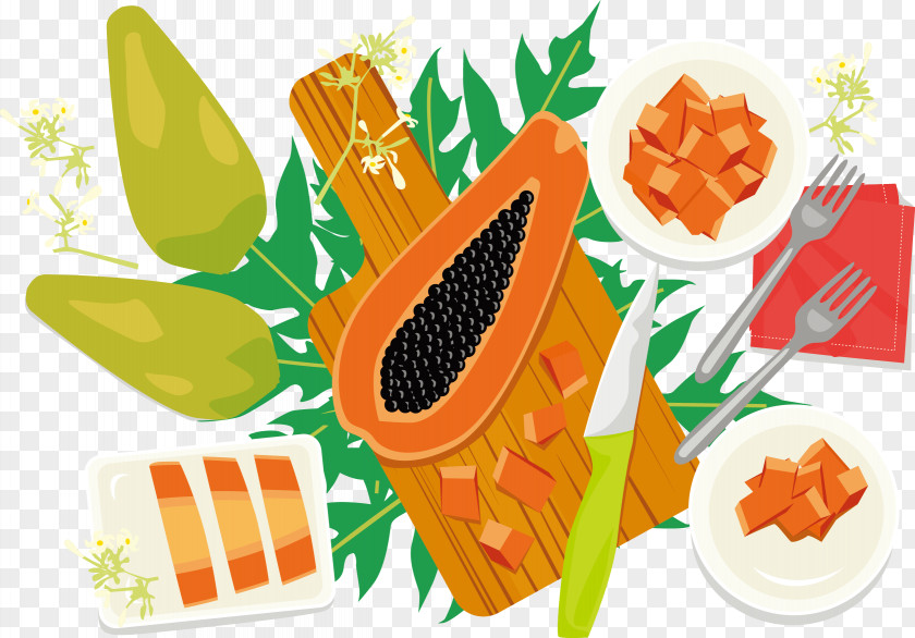Vector Illustration Of Papaya Fruit PNG