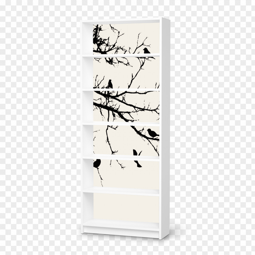 Bird Picture Frames Book PNG