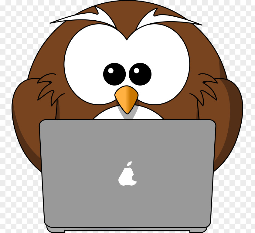 Laptop Owl Bird Internet Safety Clip Art PNG