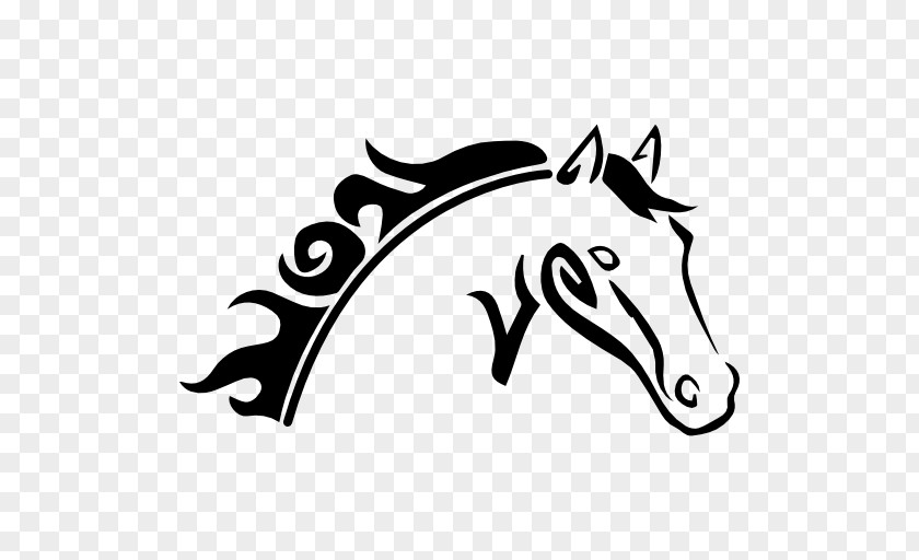 Mustang Pony Equestrian Mane PNG