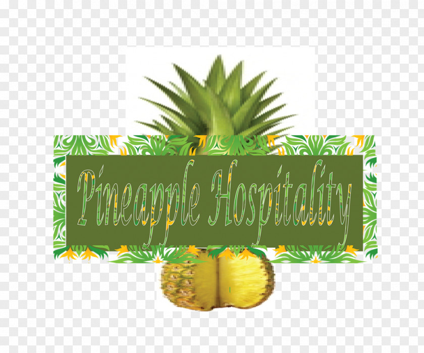 Pineapple Pineapples PNG