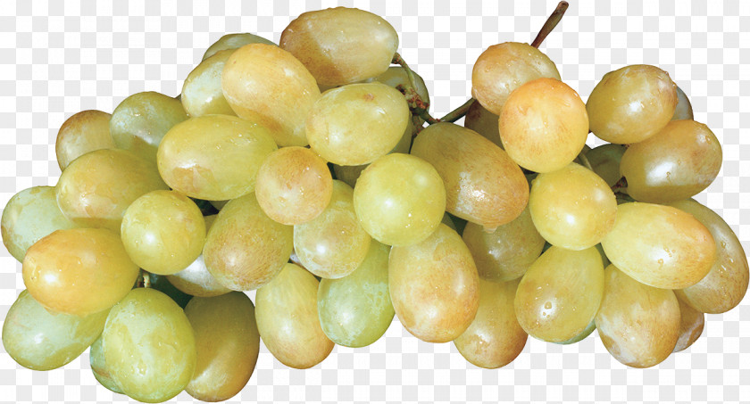 Wine Common Grape Vine Basilico Fruit PNG
