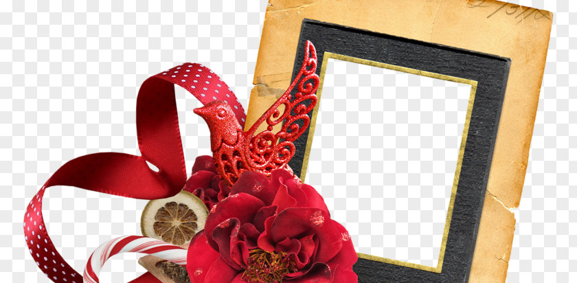 Design Picture Frames Floral Christmas PNG