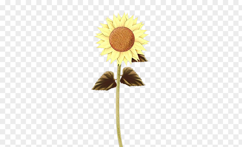 Drawing Clip Art Transparent Sunflower Silhouette PNG