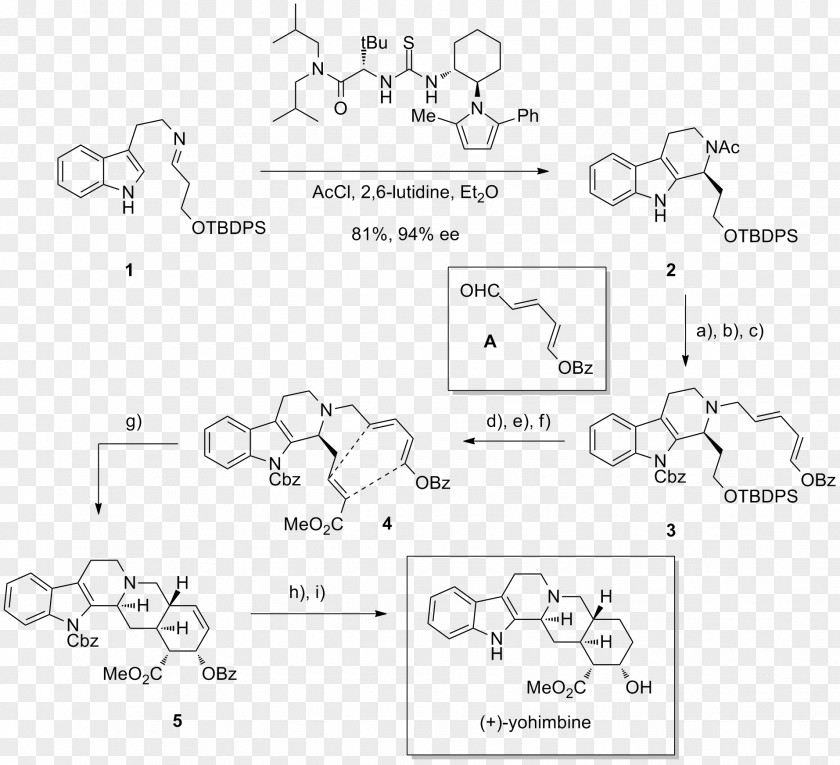 Indole Alkaloid Amination Thiourea Organocatalysis Michael Reaction PNG