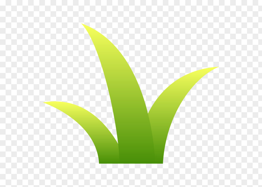 Leaf Logo Font Desktop Wallpaper Plant Stem PNG