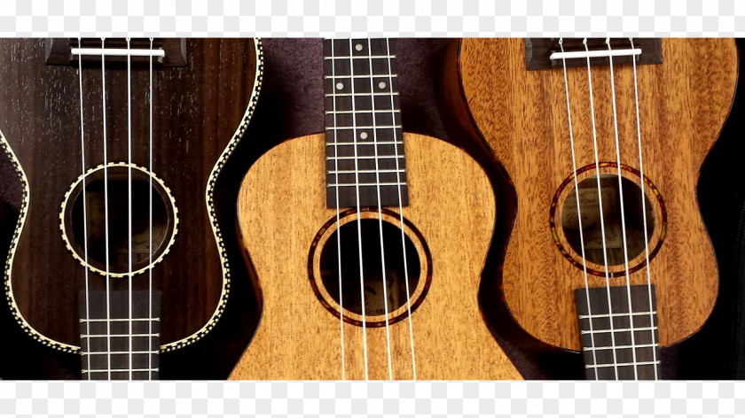 Musical Instruments Ukulele Percussion Chord PNG