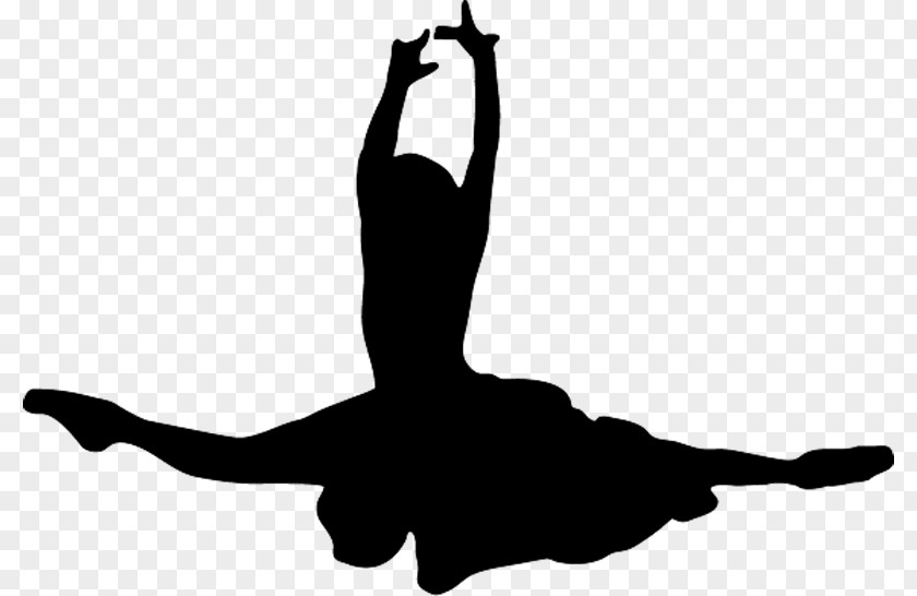 Split The Wall Ballet Dancer Silhouette PNG