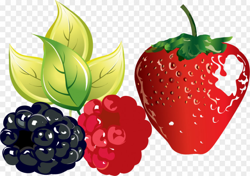 Strawberry Grape Vector Material Raspberry Fruit Clip Art PNG