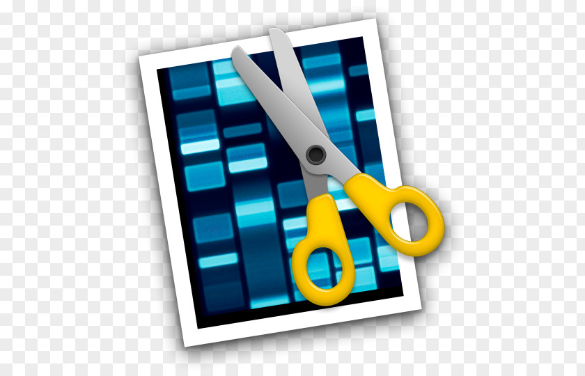 Technology DNA Sequencing Nucleic Acid Sequence Sequencer Molecular Biology PNG