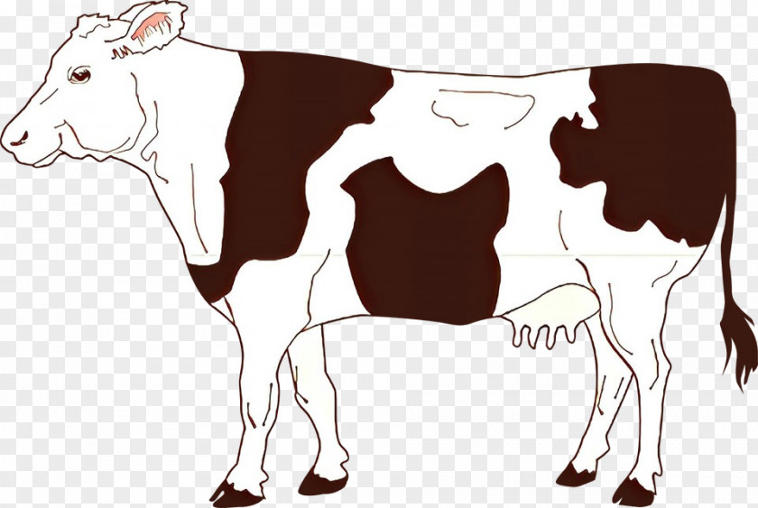 Clip Art Vector Graphics Drawing Angus Cattle Dairy PNG