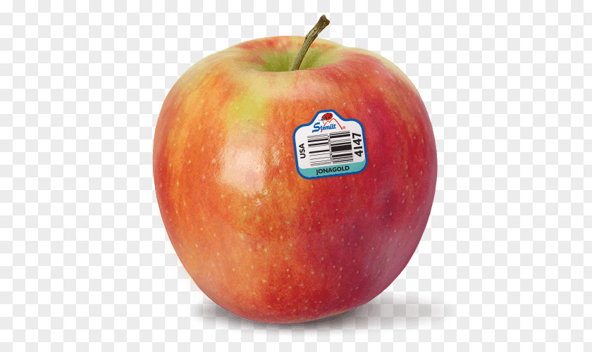 Delicious Apple McIntosh Jonagold Food Red PNG