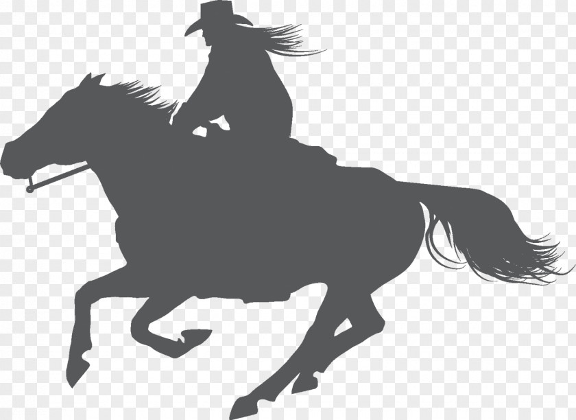 Horse Riding Equestrian American Quarter Stallion English Dressage PNG