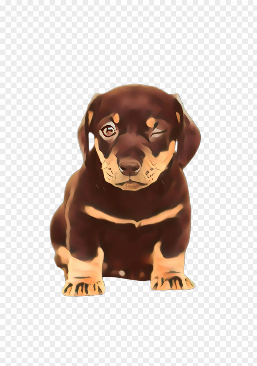 Sporting Group Rottweiler Cute Cartoon PNG