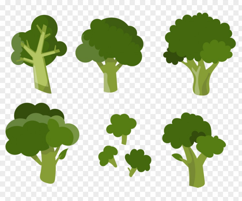 Vector Broccoli Vegetable Clip Art PNG