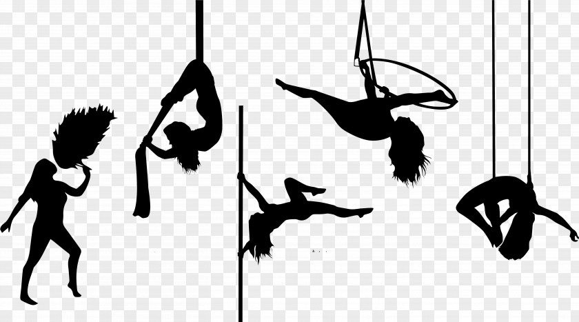 Blackandwhite Jumping Circus Cartoon PNG