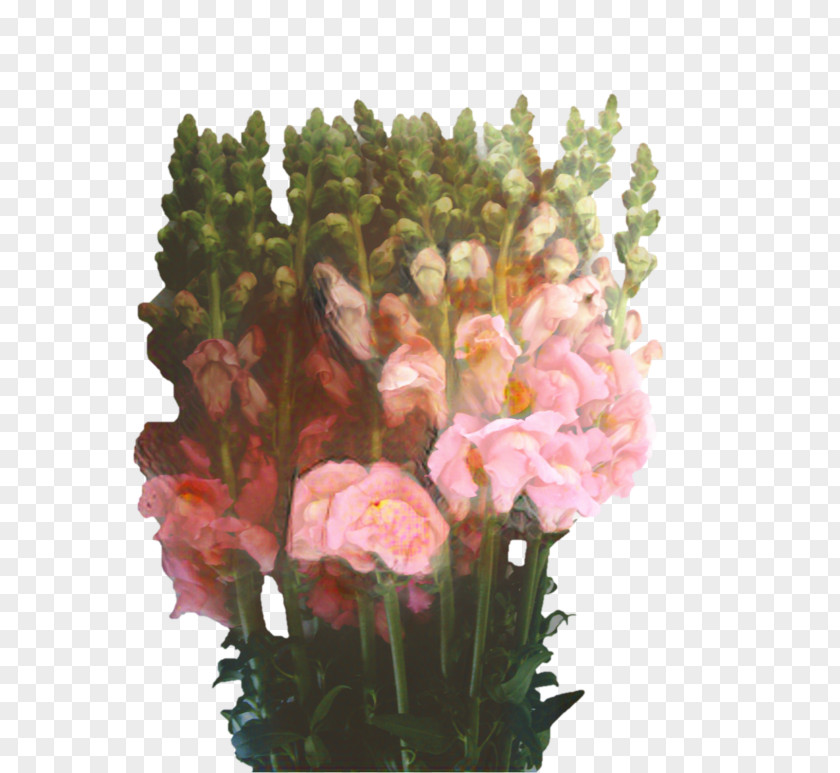 Cut Flowers Snapdragon Floral Design Blume PNG