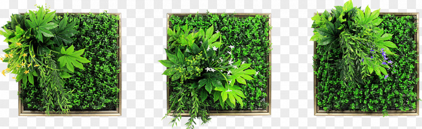 Green Wall Decal Picture Frames Painting PNG