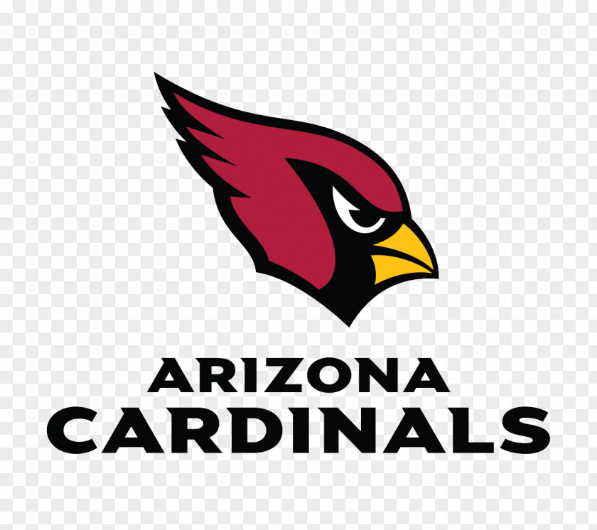 NFL 2018 Arizona Cardinals Season University Of Phoenix Stadium Super Bowl LII PNG
