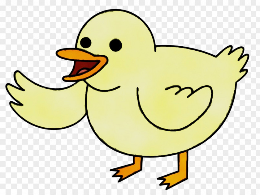 Rubber Ducky Livestock Watercolor Background PNG