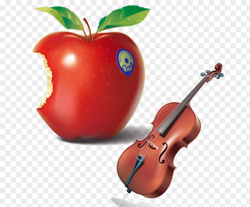 Tempting Red Apple And Violin Meet Me At The Commons: A Field Guide To Common Core Standards In Higher Education State Initiative Teacher School PNG