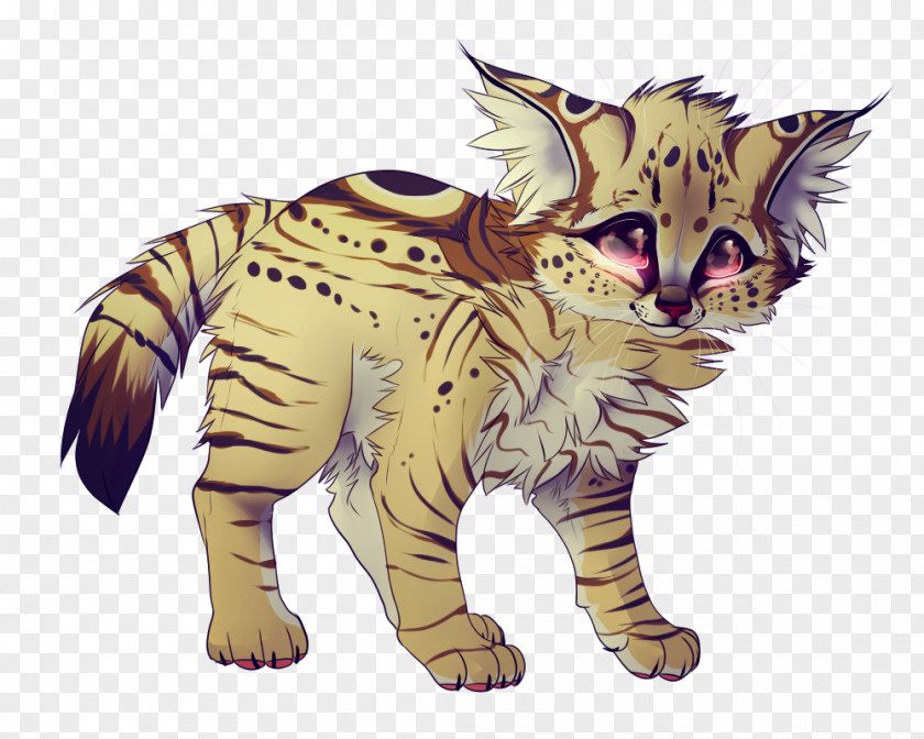 Tiger Whiskers Wildcat Paw PNG