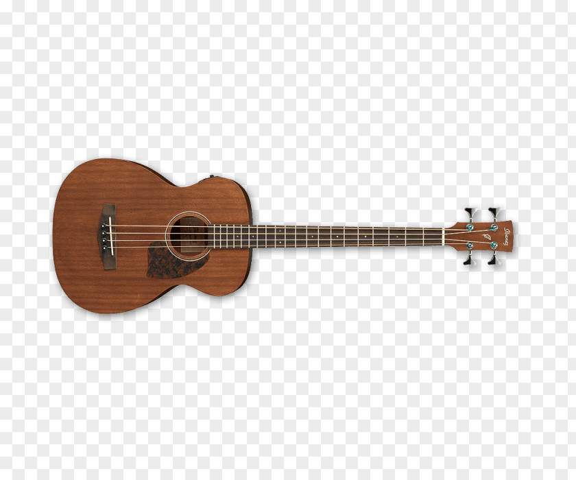 Bass Guitar Twelve-string Acoustic PNG