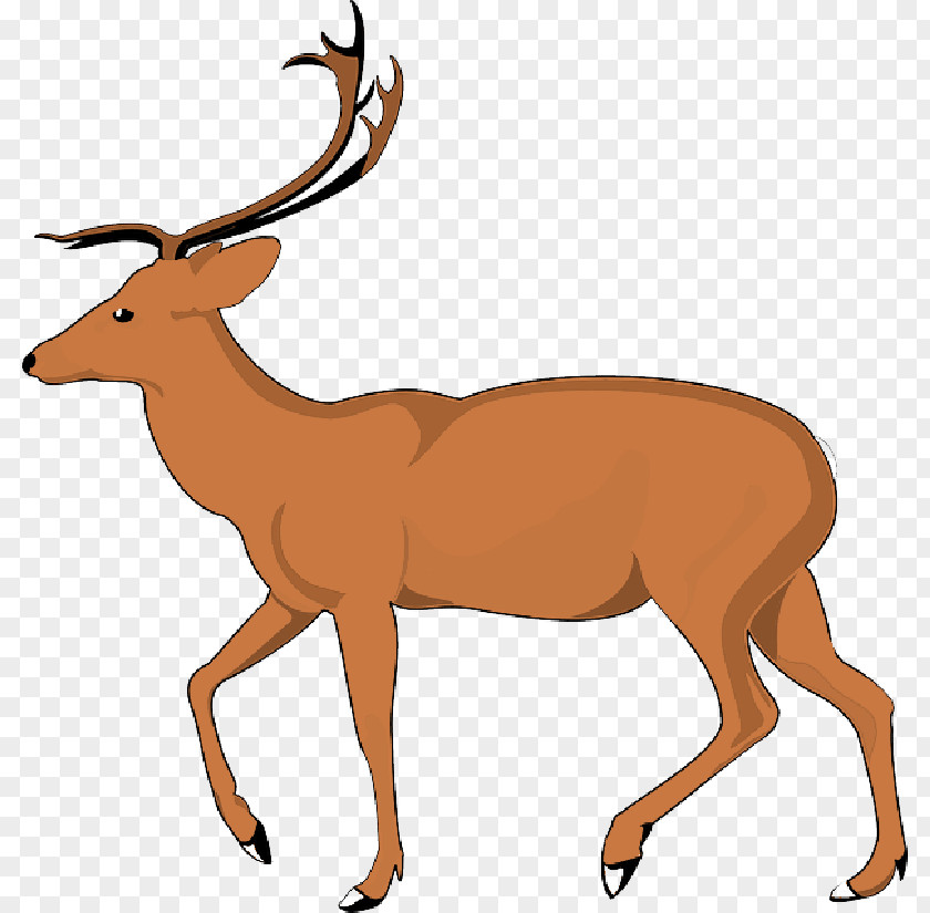 Brown Animal Debden Park High School Clip Art National Secondary Deer PNG