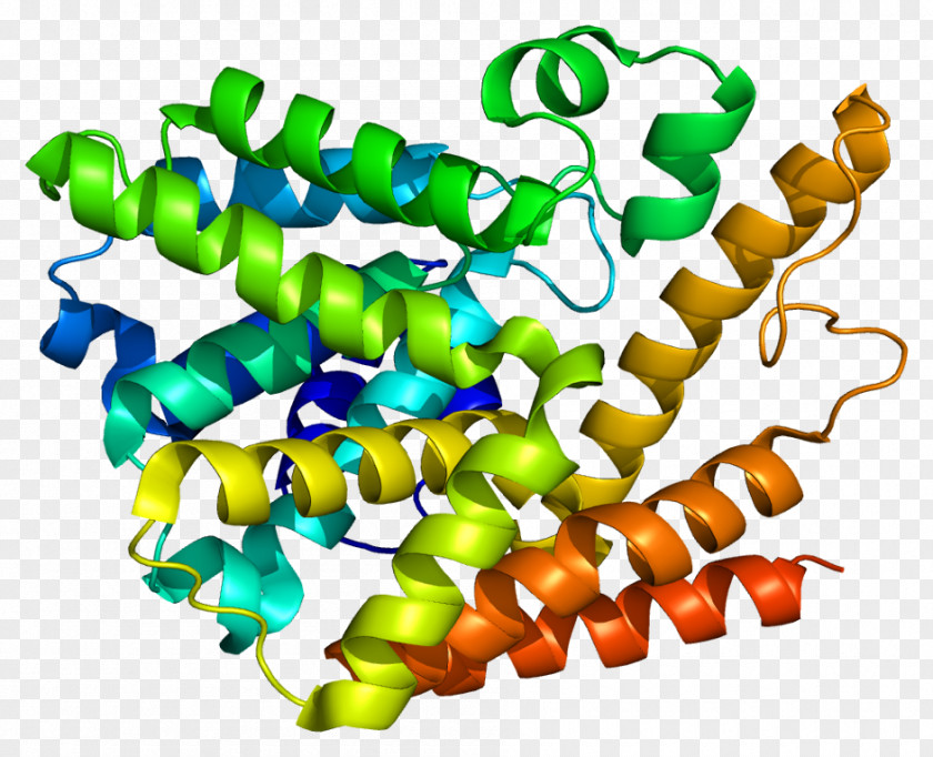 Camp Molecule PDE7A Cyclic Nucleotide Phosphodiesterase Guanosine Monophosphate PDE7B PNG
